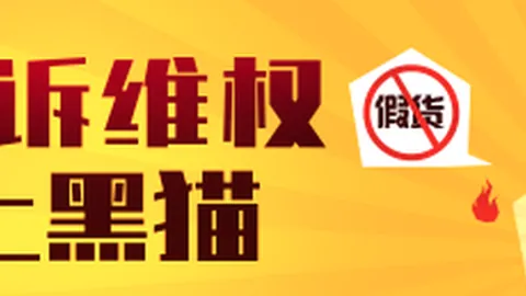电竞战队夺冠幕后，荣耀之路回顾